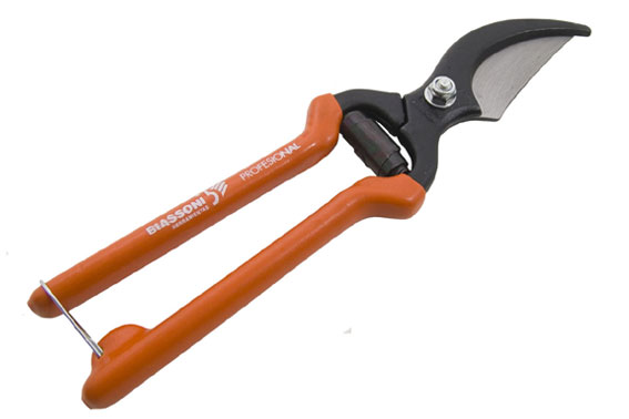 TIJERA PODAR 240MM  BIASSONI